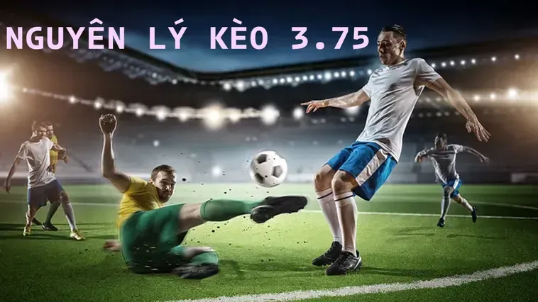 Kèo 3.75 Tại 7M Và Chiến Thuật Chinh Phục Kèo Tài Xỉu Mức Cao Trong Bóng Đá