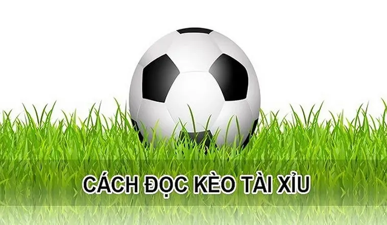 Phân Tích Chuyên Sâu Kèo Tài Xỉu Tại 7M Để Tối Ưu Hóa Lợi Nhuận Đầu Tư