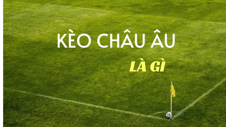 Kèo Châu Âu Tại 7M Phân Tích Phương Pháp Soi Kèo 1x2 Chuyên Nghiệp