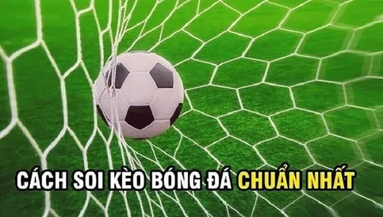 Phân Tích Kỹ Thuật Kèo Rung Trong Bóng Đá Tại 7M Để Tối Ưu Hóa Dòng Vốn